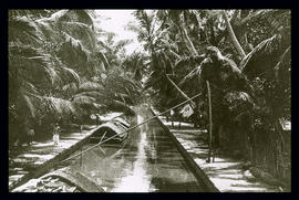 Ceylon: Negombo Canal