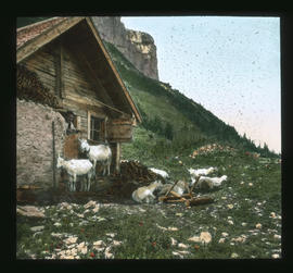 Obere Bersteinhütte am Alpsiegel