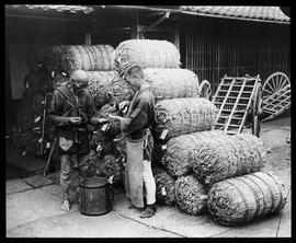 Japan: Reishandel, Entnehmen der Proben aus den Säcken