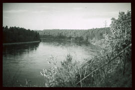 Rhein zwischen Rheinau und Ellikon: Hochwasser November 1952