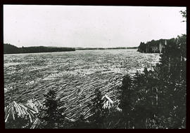 Flössholz im Lake Kenogami: Quebec, Kanada