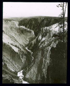 Yellowstone Cañon mit Waldplateau