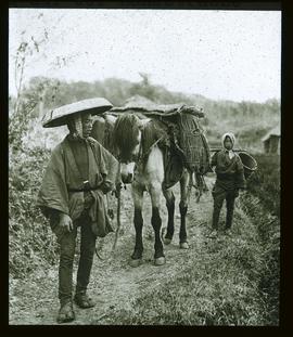 Japanisches Bauernpaar mit Lastpferd auf der Landstrasse