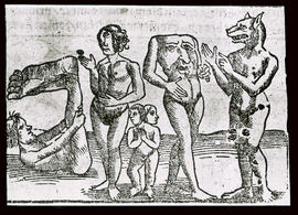 Fabelwesen: Holzschnitt aus Sebastian Münster, Cosmographey, Basel 1598