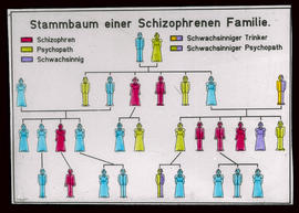 Stammbaum einer Schizophrenen Familie
