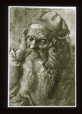 Kopfstudie zum heiligen Hieronymus: Der alte Mann von Antwerpen