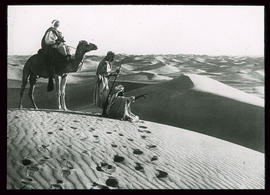 Dünenwüste: Sahara