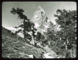 Das Matterhorn vom Weg bei Riffelalp