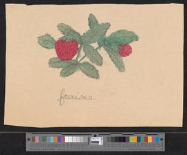 Fraises/[Erdbeeren]