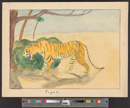«Tiger» nach Natur mit Phantasielandschaft