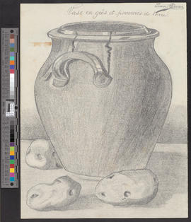 Vase en grés et pommes de terre/[Sandsteinvase und Kartoffeln]
