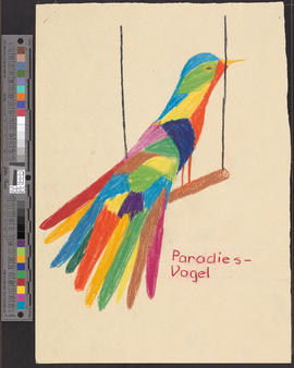 Paradies-Vogel/[Paradiesvogel]