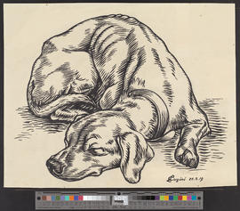 Liegender Hund (Nach selbst gezeichneter Naturstudie)