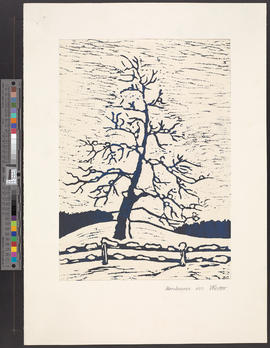 Birnbaum im Winter