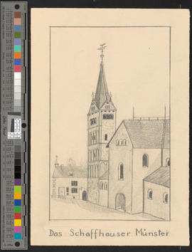 Das Schaffhauser Münster
