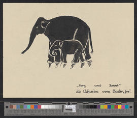 Mery und Ranni, die Elefanten vom Basler Zoo