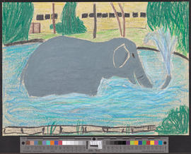 Badender Elefant im Zürcher Zoo. Nach Natur gezeichnet