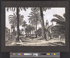 Avenue Beauregard à Hyères les palmiers