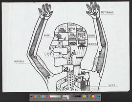 [Anatomie eines Maschinenmenschen]