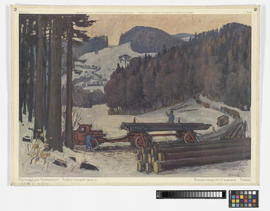 Hochwald und Holztransport