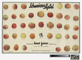 Schweizer Äpfel